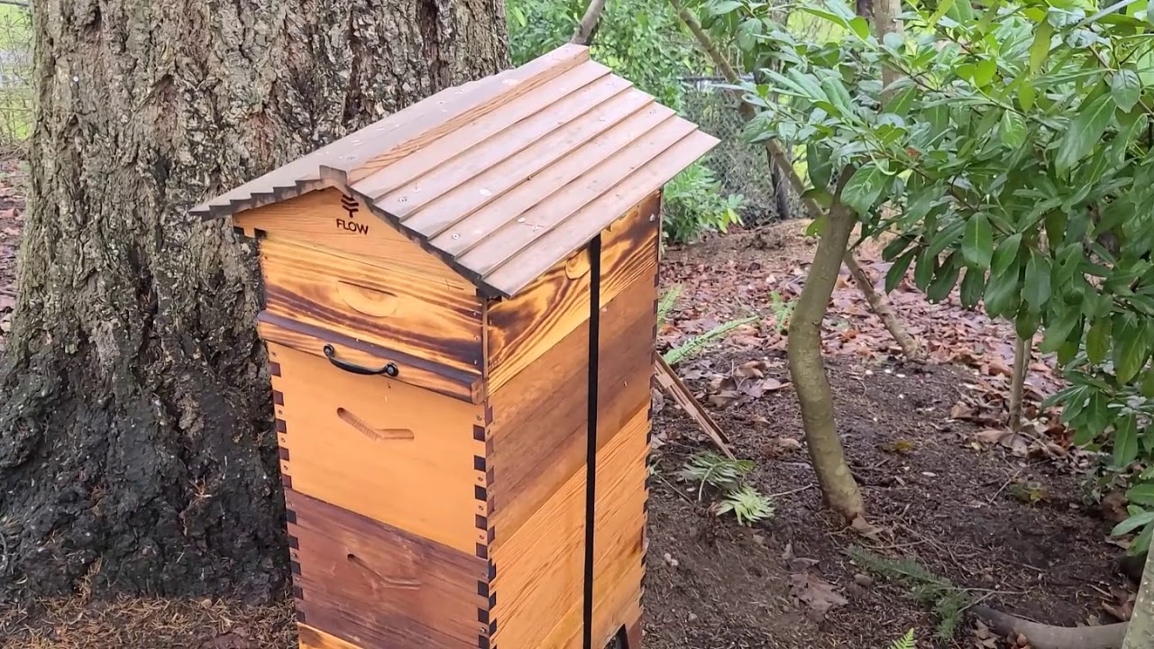 Winterizing the Hive