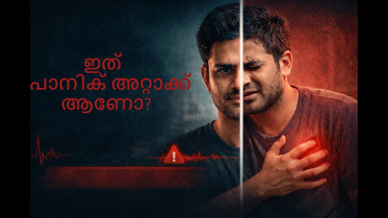 പാനിക് അറ്റാക്കുകൾ കാരണങ്ങൾ, ലക്ഷണങ്ങൾ, ആശ്വാസം Panic Attacks: Causes, Symptoms, and Relief