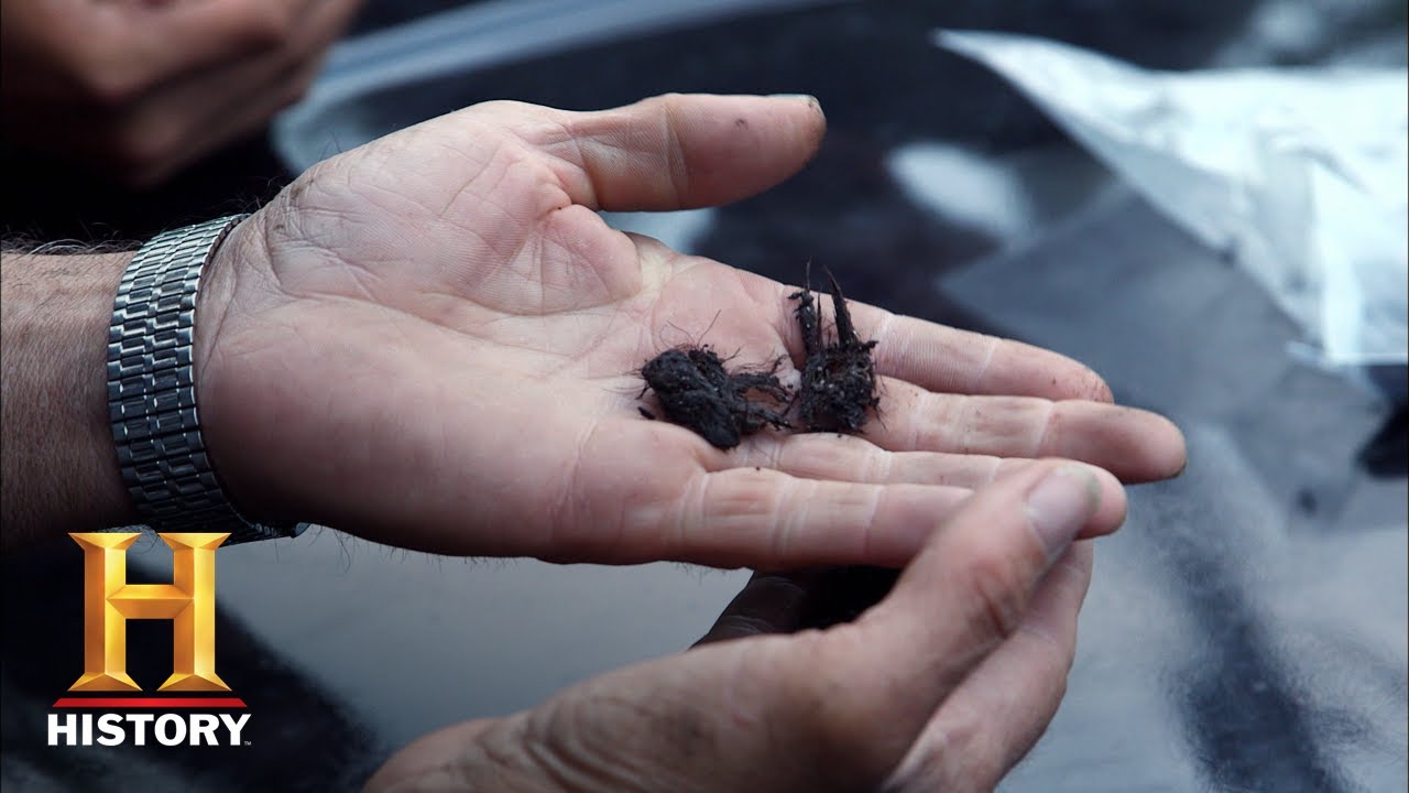 The Curse of Oak Island: MIND-BLOWING COCONUT FIBER DISCOVERY *Flashback* (Season 1) | History