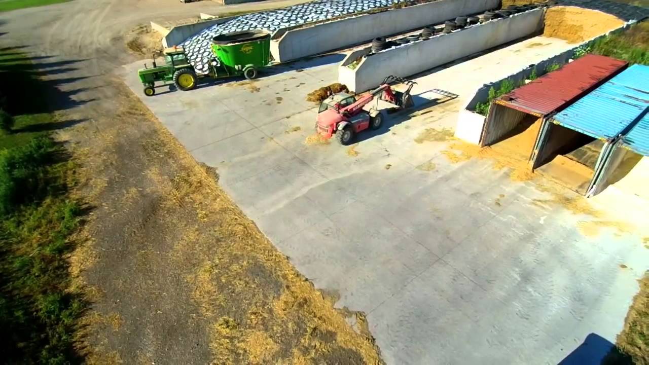 Making Milk Cow TMR and filming it at the same time