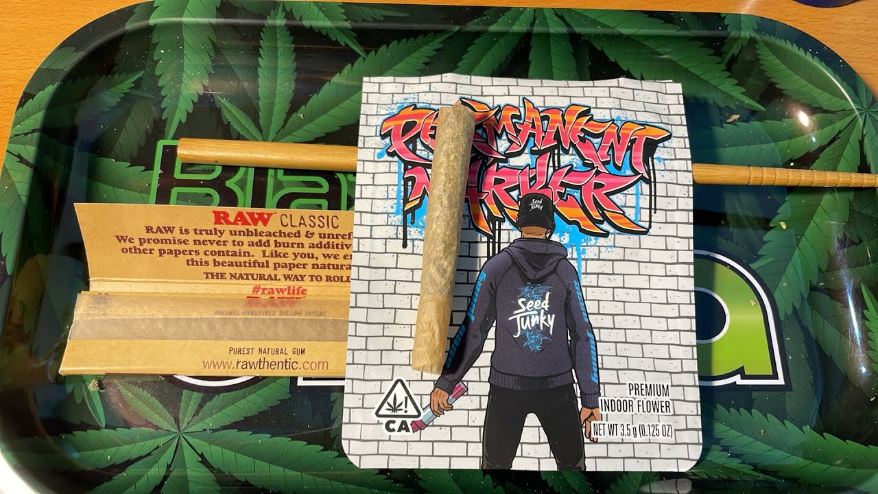 BLINDGORILLAS HOW TO ROLL A JOINT LIVE SEED JUNKY PERMANENT MARKER 02/10/24 11AM