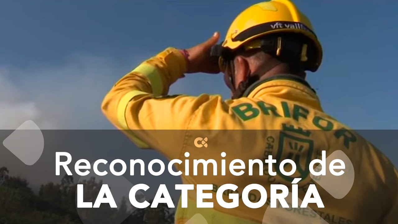 Reconocimiento a la categoría profesional de los bomberos forestales