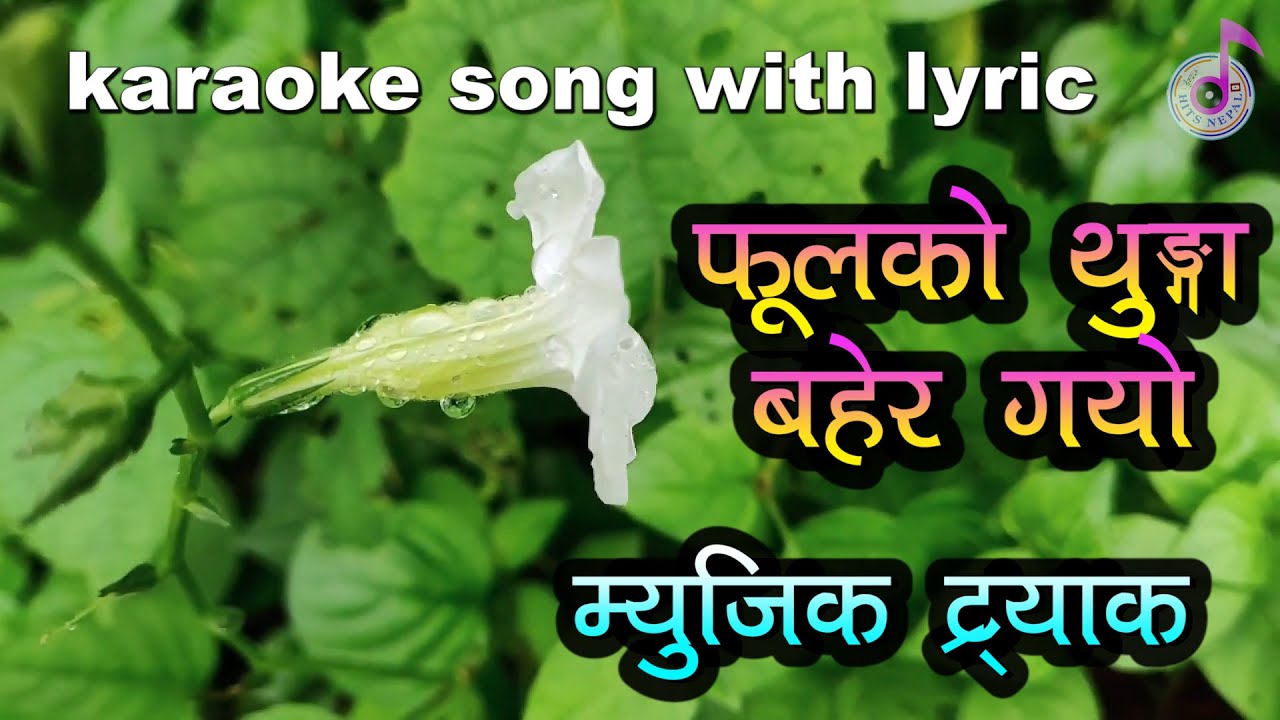 Phool ko thunga bahera gayo karaoke song with lyric फूलको थुंगा Nepali Track|KARAOKE(PHULAKO THUNGA)