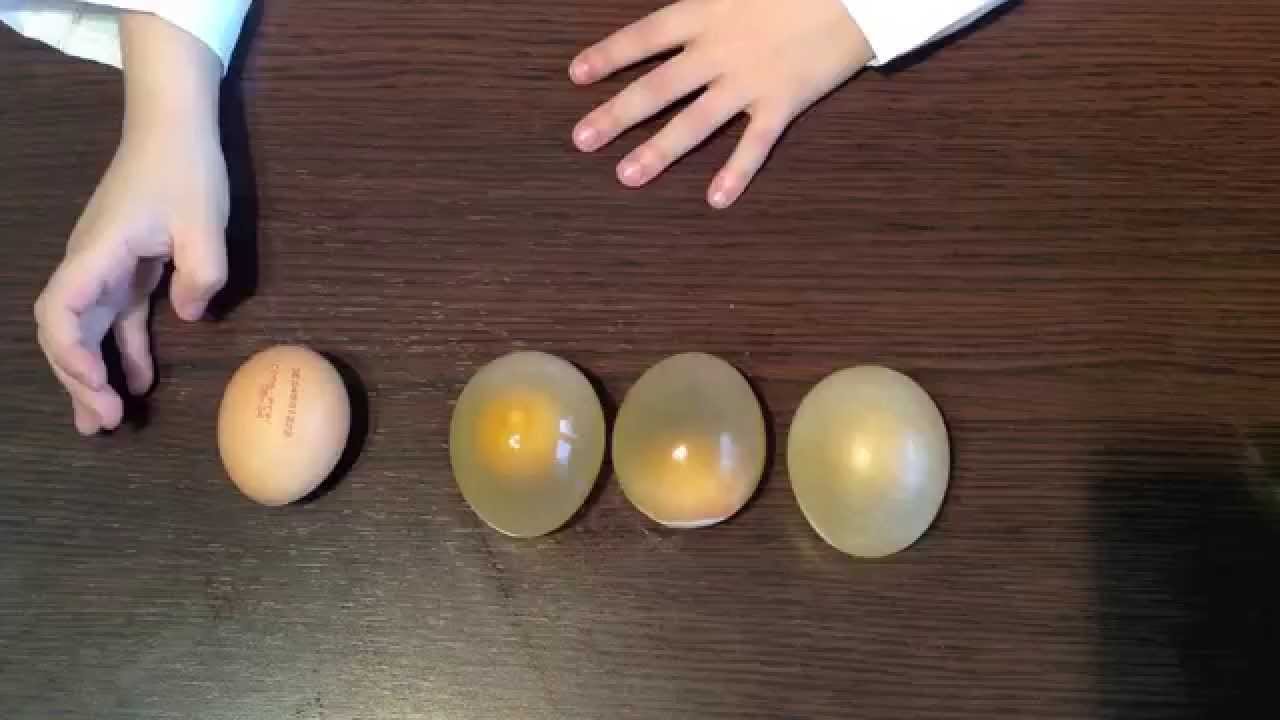 Huevos saltarines