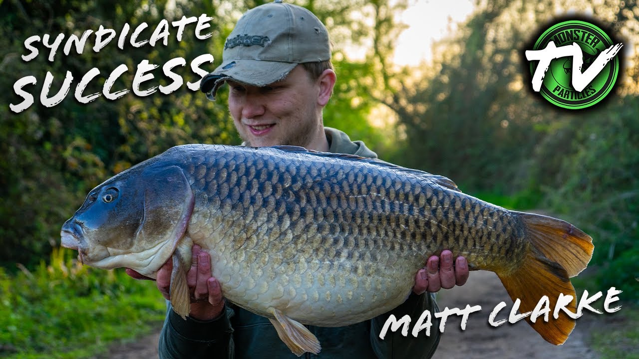 **SYNDICATE SUCCESS WITH MATT CLARKE- MONSTER PARTICLES TV**
