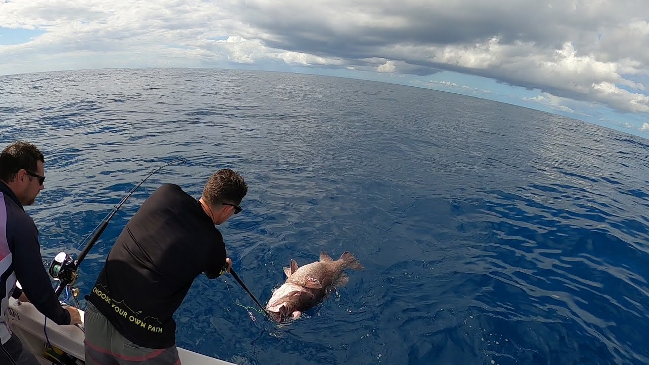 Deep Drop Fishing, We Caught the Bass Grouper that SMOKED us