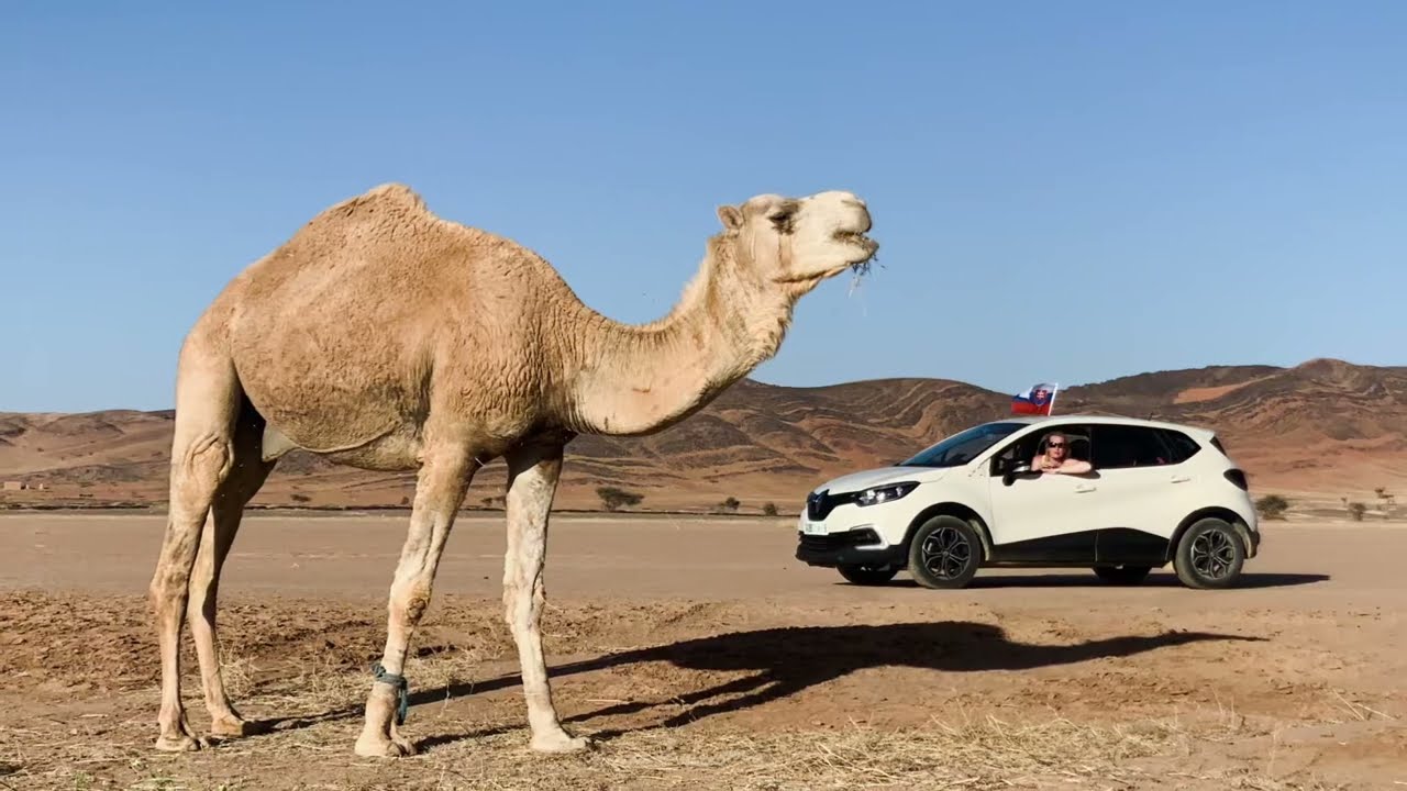 Sahara journey: Tafraoute Sidi Ali - Ramlia - Ouzina - Taouz 2022 Morocco rally Paris - Dakar route