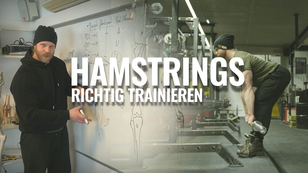 Beinbeuger RICHTIG trainieren! - Intelligent Strength Education