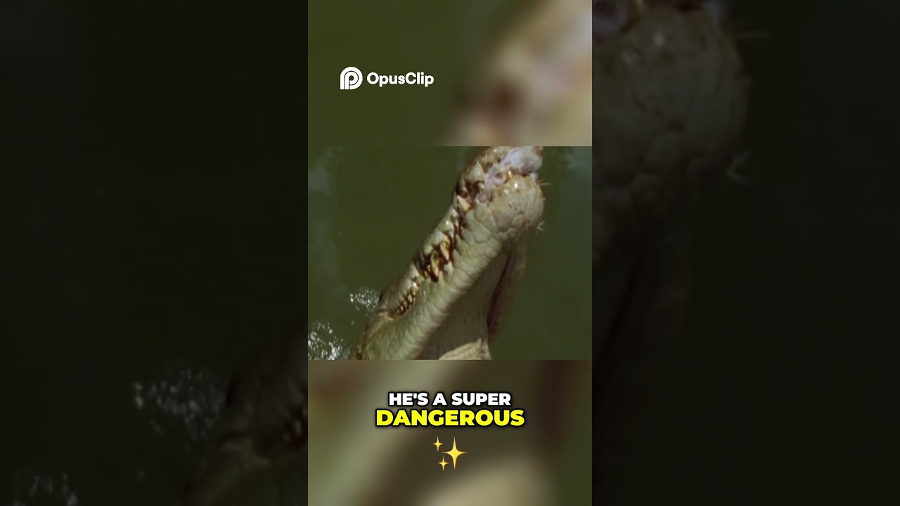 Crocodile Power. Slow Mo Attack of a Dangerous Croc. Steve Irwin
