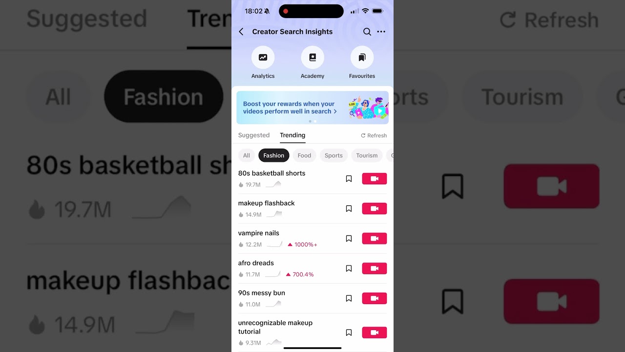 TikTok creator search insights