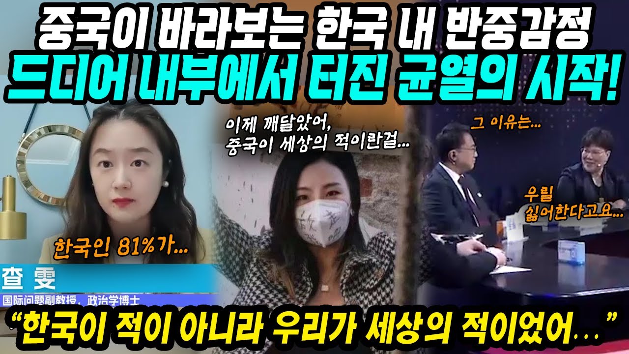 중국반응│중국이 바라보는 한국의 반중감정│알고보니 우리가 전세계의 적이었어│온라인을 중심으로 퍼져나가는 중국의 실체│중국어로[路]