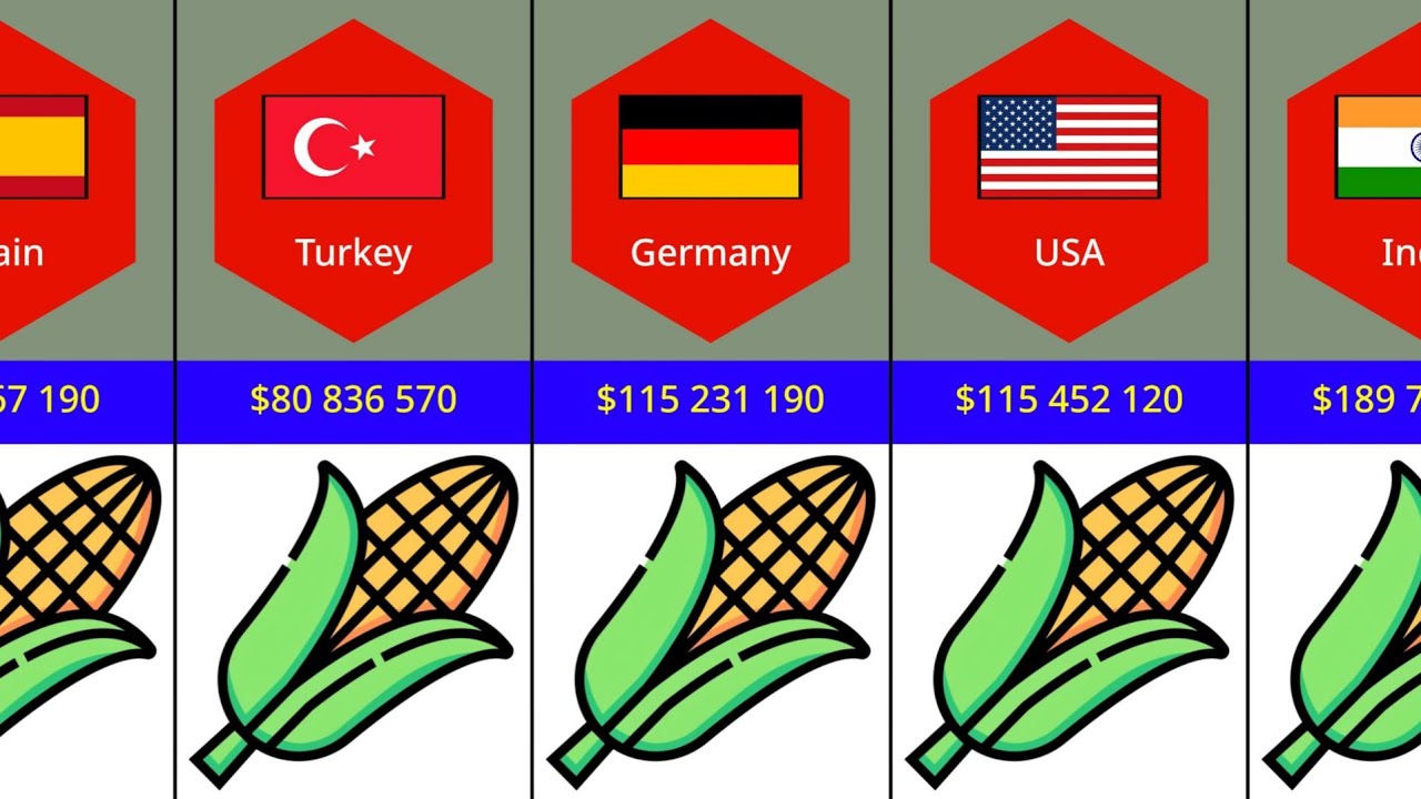 List Of Corn Exports Value By Country