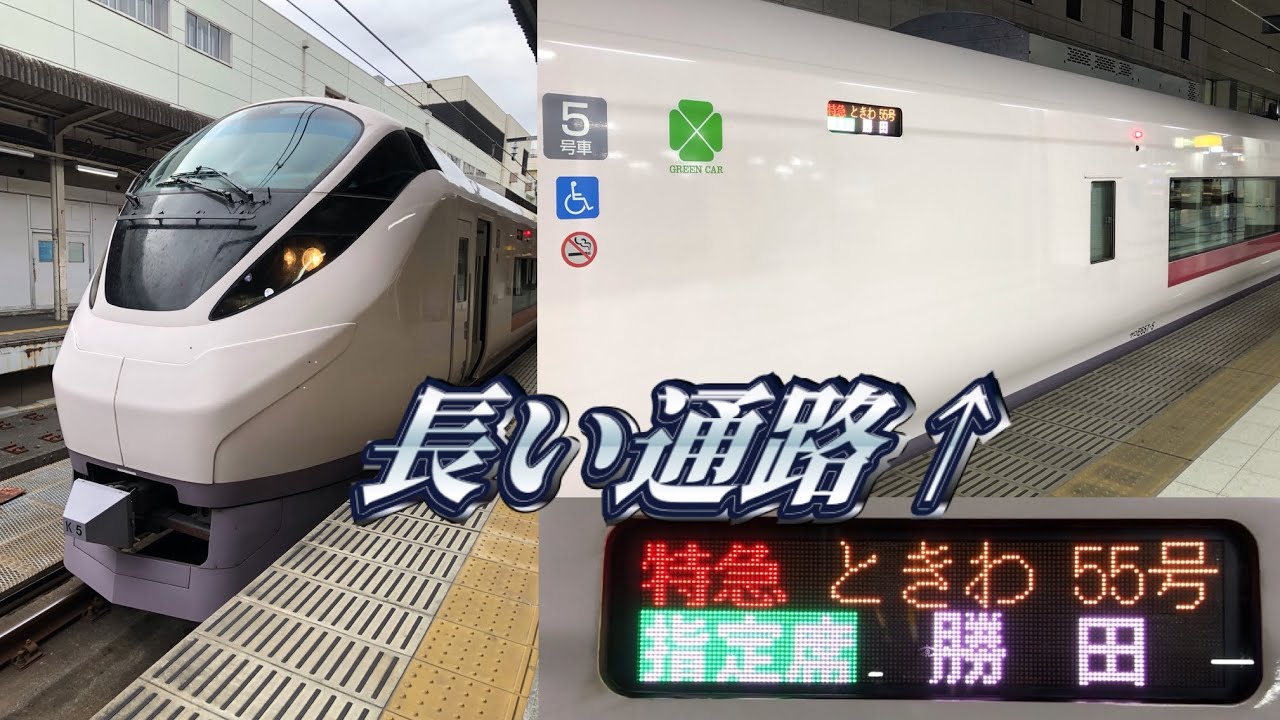 【お得にグリーン車】特急ときわのグリーン車に乗ってきた。
