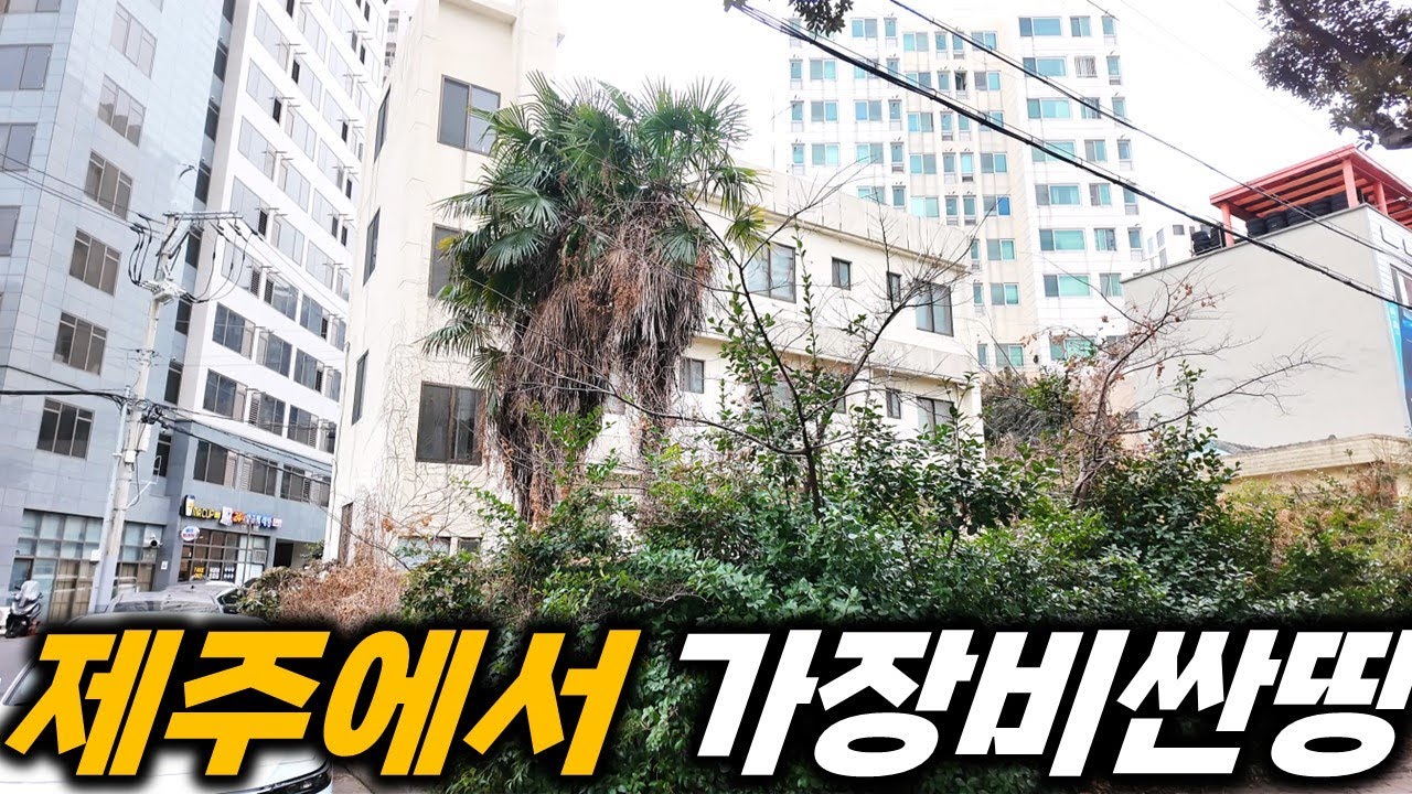 제주에도 높은 호텔이나 빌딩을 지을 수 있는 곳이 있어요 H-637 유동 인구가 가장 많은 곳이라고 할 수 있습니다