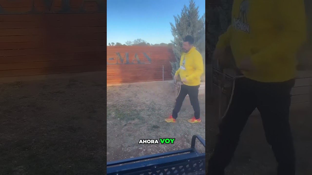 Conoce a África, el impresionante CANE CORSO X-MAN