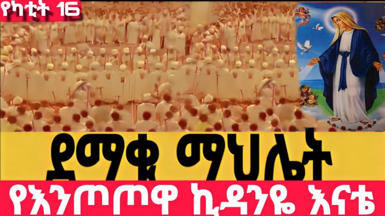 #Live#እመቤታችን ዛሬ ቃል ኪዳን ተቀበለች#ማኅሌት_ተጀመረ#ከጎፋ ኪዳነ-ምህረት #ኪዳን#ቅዳሴ#ማኅሌት#ወረብ#መዝሙር#ሰዓ#ስብከት#ንግስ#ጉባኤ#16/6/2018