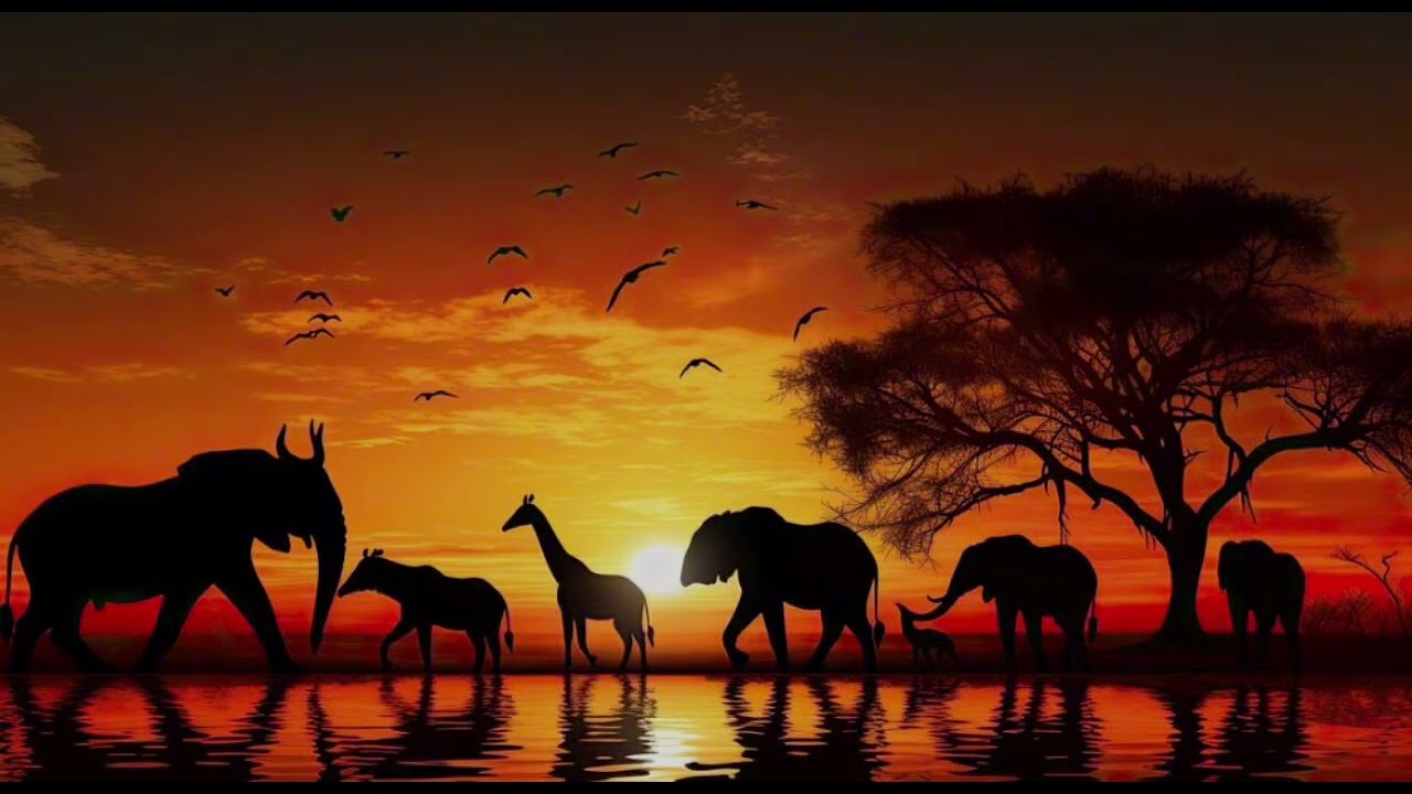 Chill77. Papaoutai {new music 2026} Afro soul ‘’