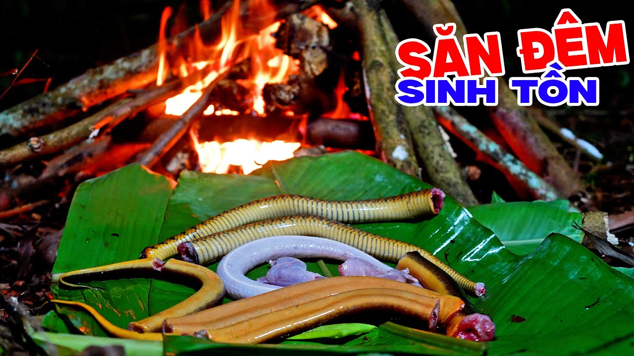 Hai Ngày Săn Ong - Soi Đêm Sinh Tồn