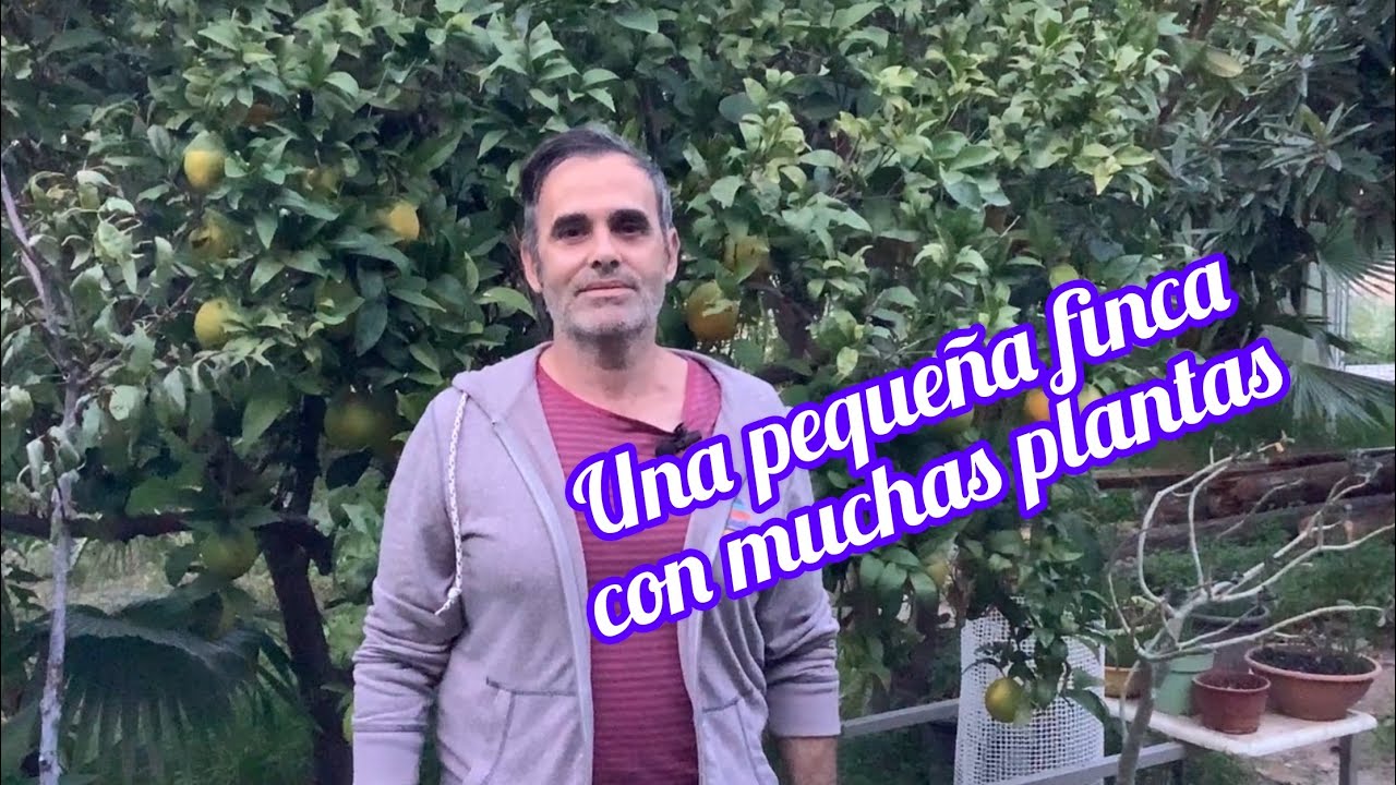 Una pequeña finca con muchas plantas CAP 230