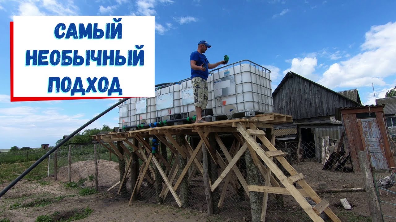 Такое должно быть у каждого голубичника