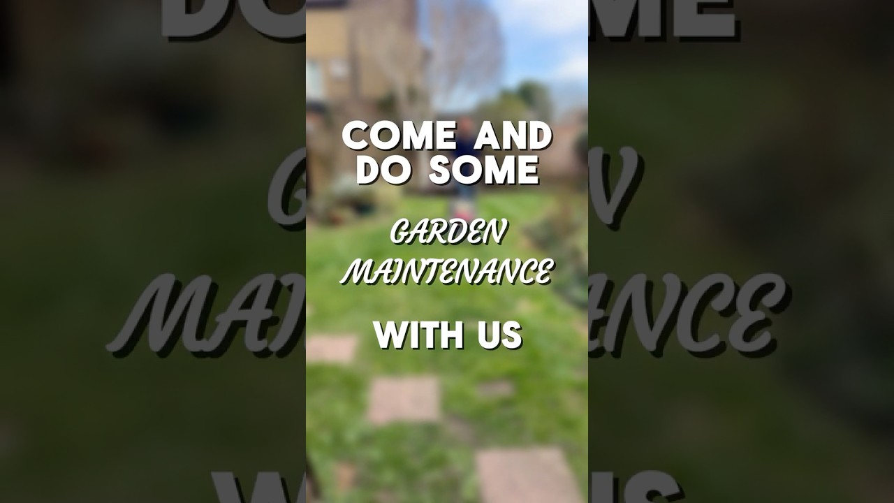 Do Some Garden Maintenance With Us! - Ed's Garden Services