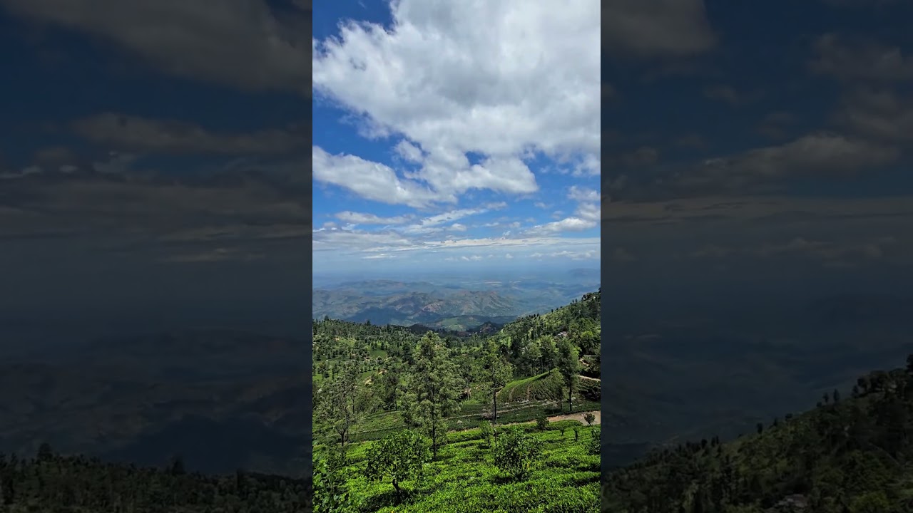 Relaxing Nature View 🌿 Haputale Viewpoint | Sri Lanka 🇱🇰 | Peaceful Music