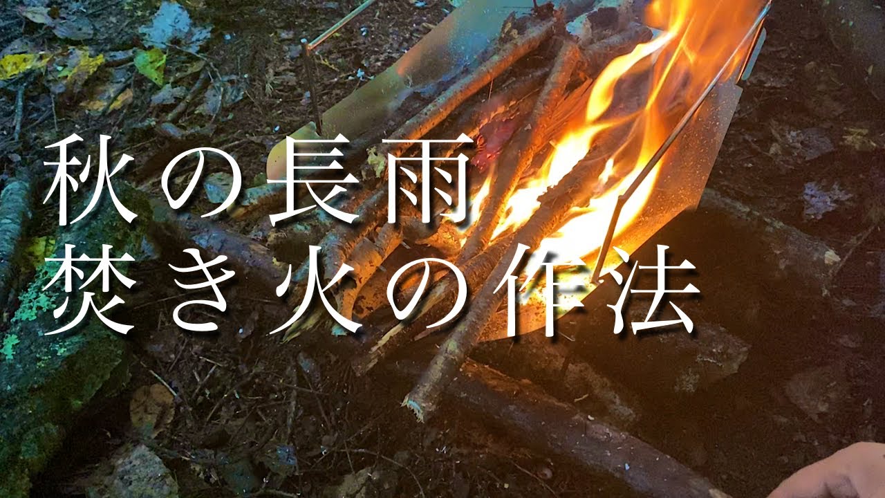 雨、タープの下で白樺の薪をくべる