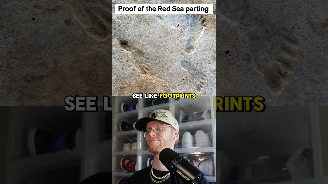 PROOF that the RED SEA was PARTED🤯😱‼️ #christian #bible #history #shorts