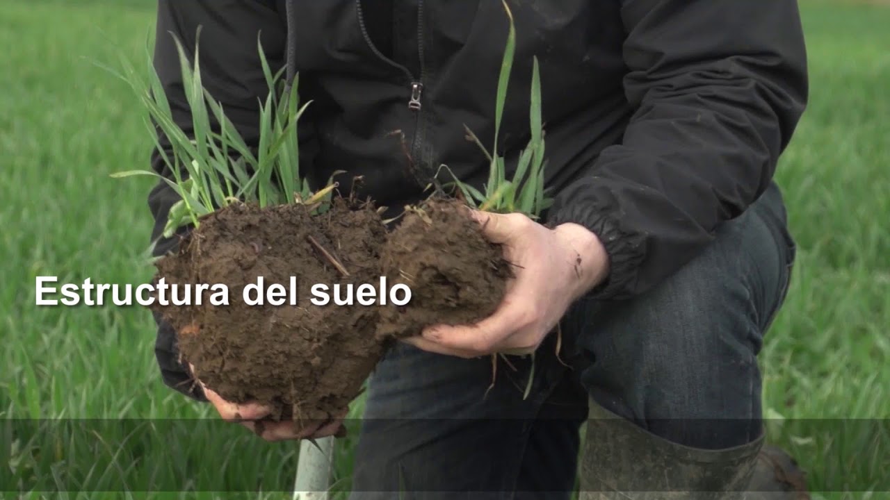 Escorrent&iacute;a agr&iacute;cola, que es y c&oacute;mo prevenirla