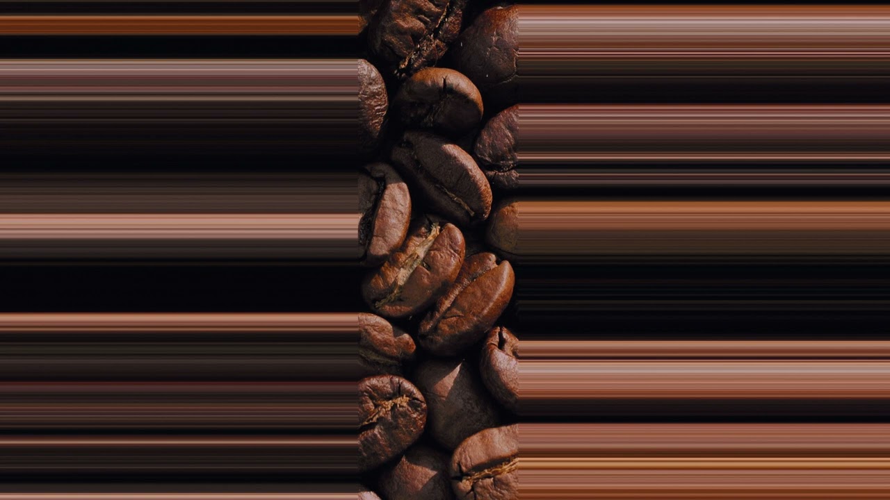 Paris Coffee Show 2024 - Règlement Européen sur l'importation des produits issus de la déforestation