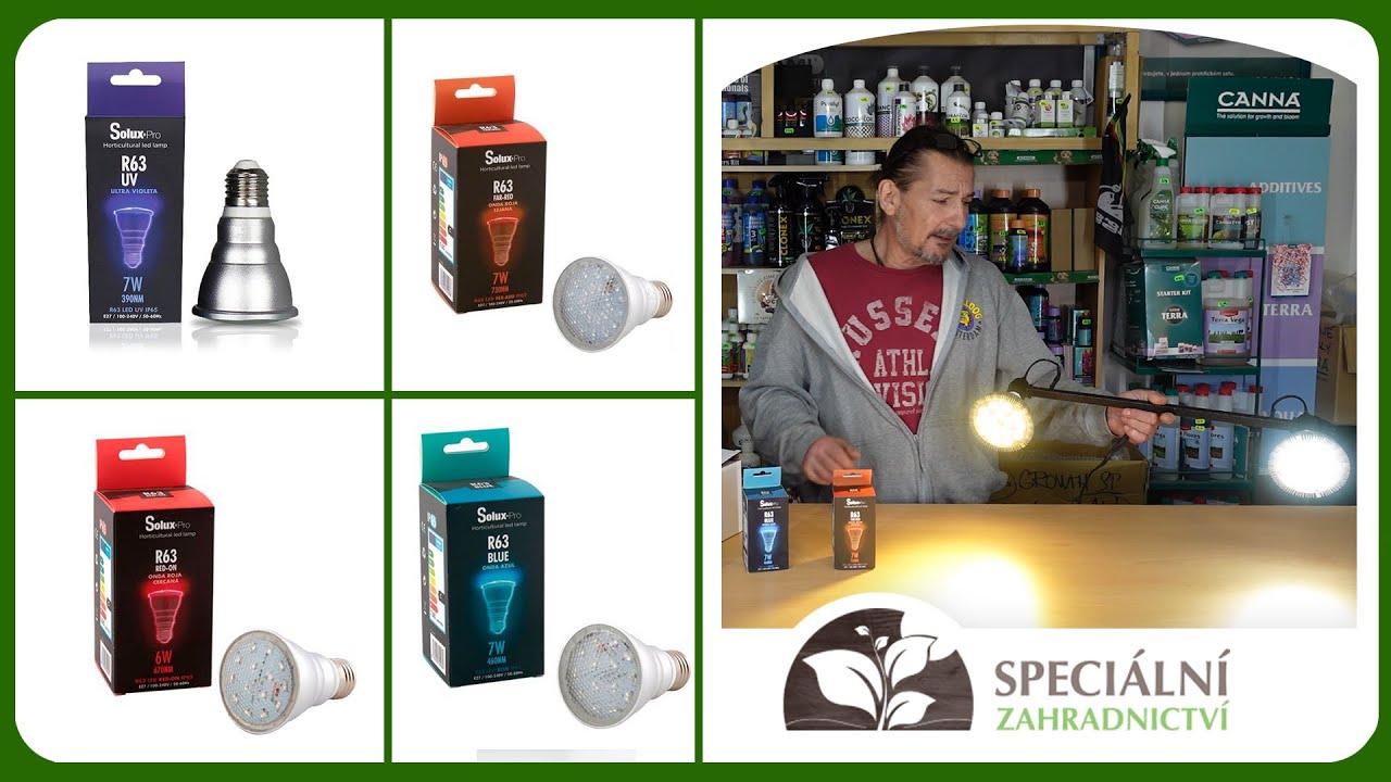LED žárovky a fotosyntéza rostlin I Speciální Zahradnictví.cz