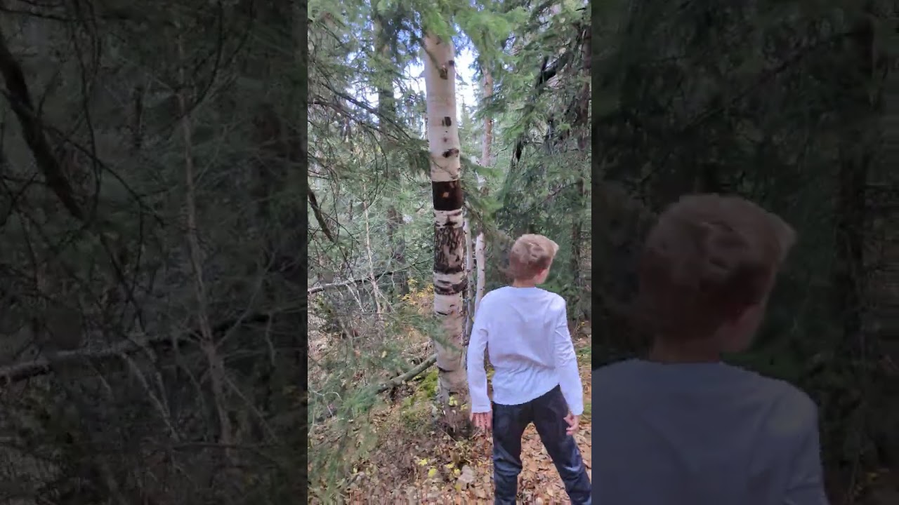 Hiking to black elk peak South Dakota Oct 2023