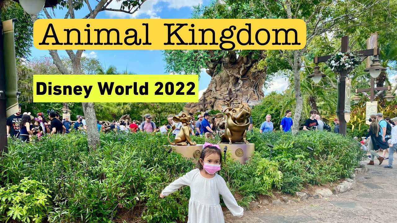 Disney World Animal Kingdom: Avatar World, Kilimanjaro Safaris, Gorilla Falls, Maharajah Jungle Trek