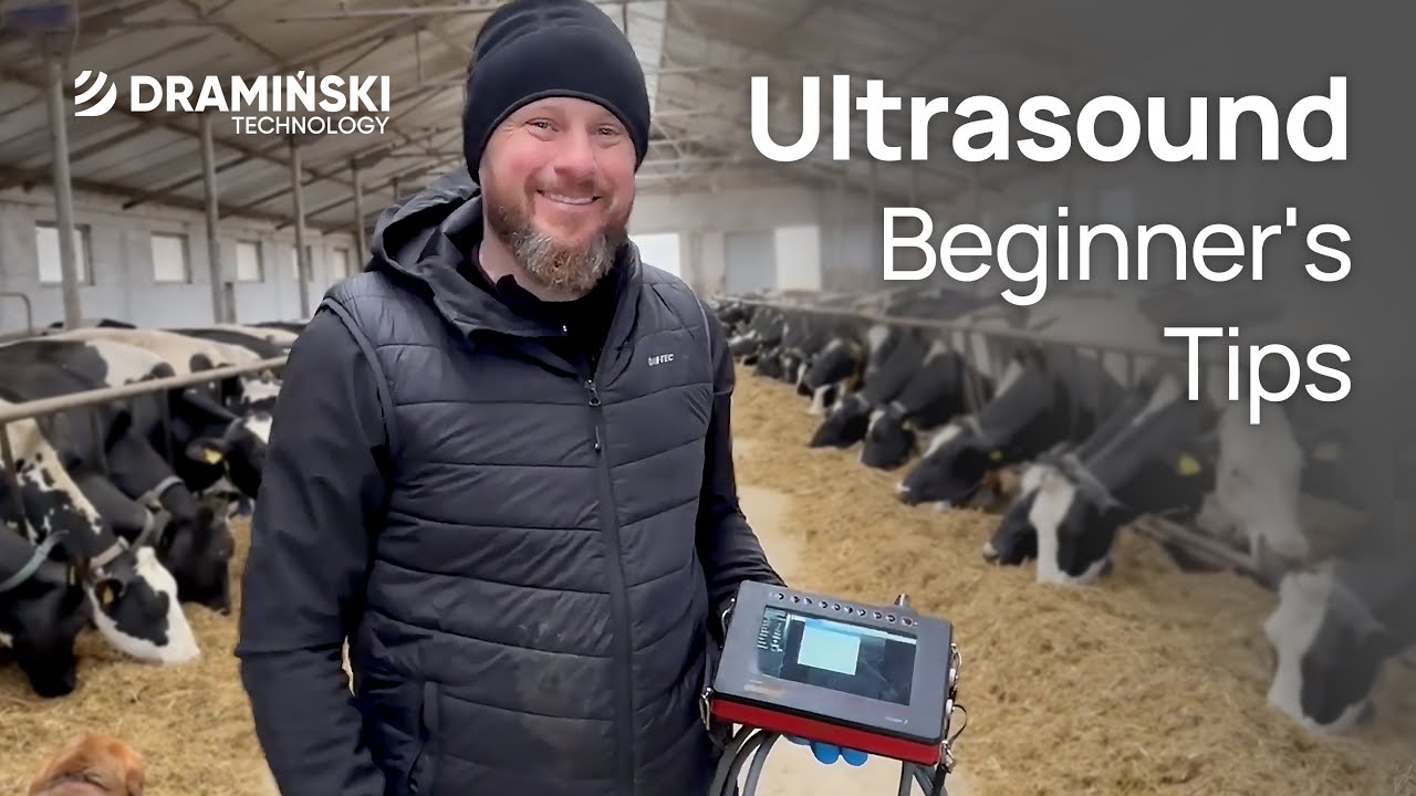 Ultrasonografia weterynaryjna – porady dla początkujących z iScanem 2 @cowdoctor.pl (IG)