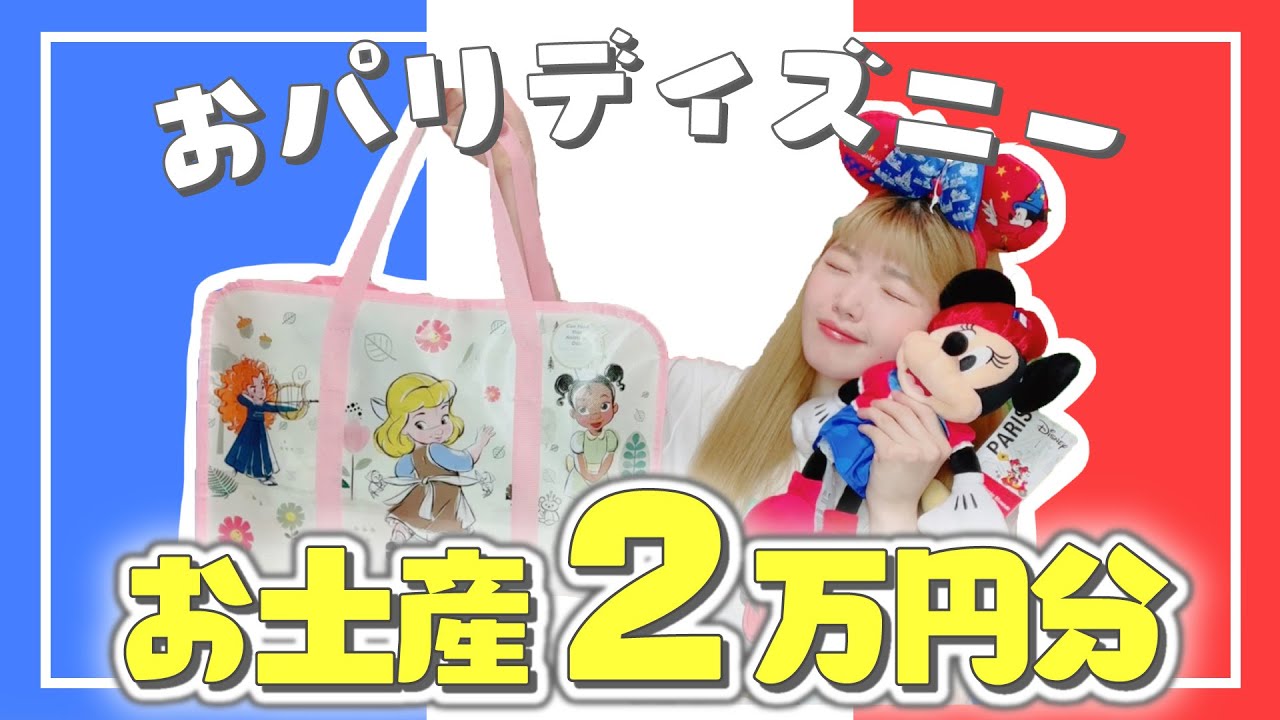 【購入品紹介】友達にパリディズニーのお土産2万円分買ってきてもらったよおおおお！！！【Disneyland Paris】