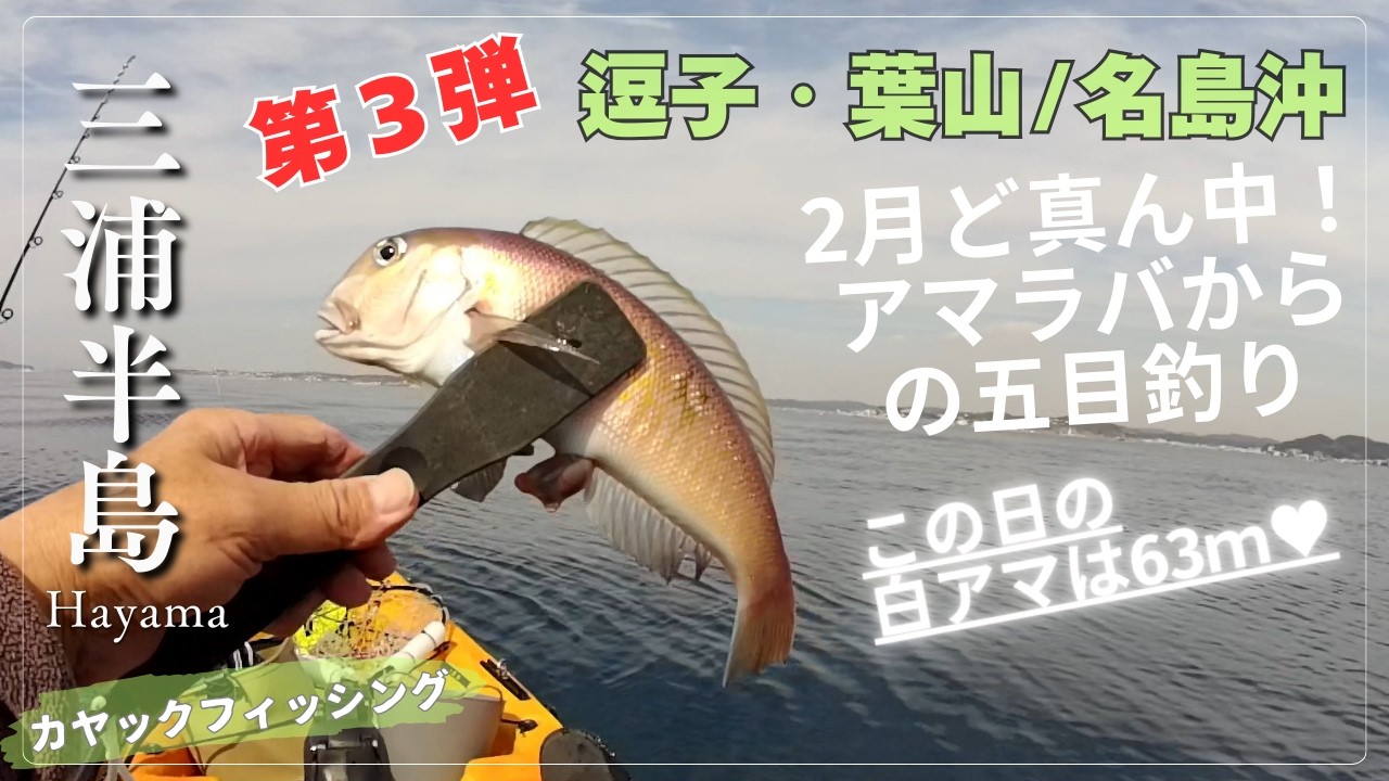 [逗子・葉山] 2月ど真ん中! アマラバからの五目釣り  #カヤックフィッシング #アマダイ #アマラバ #supフィッシング