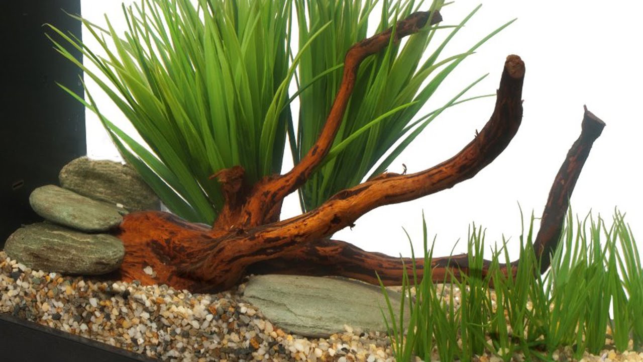HOW TO: Aquascape a Small Aquarium (ft. Fluval Spec)