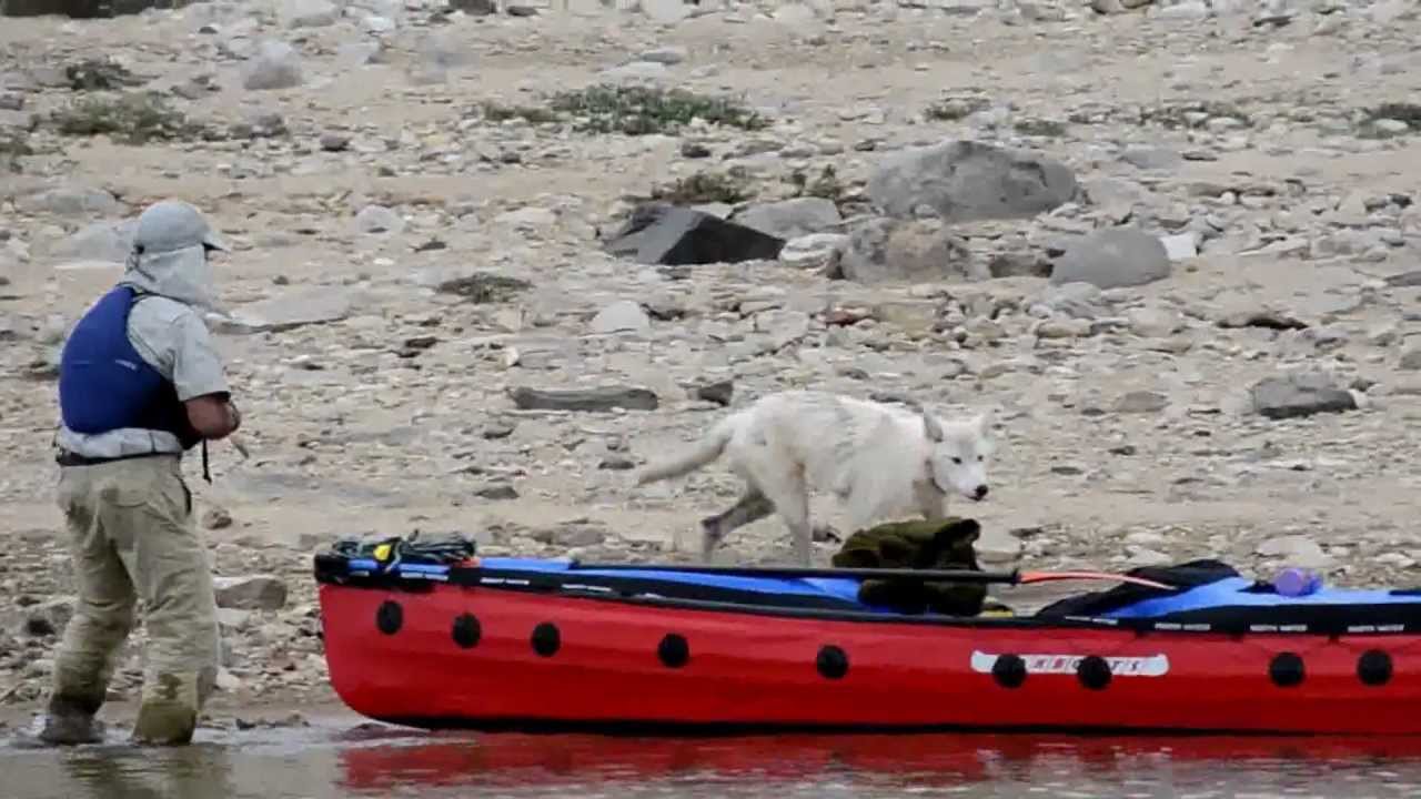 Arctic Wolf vs PakCanoe
