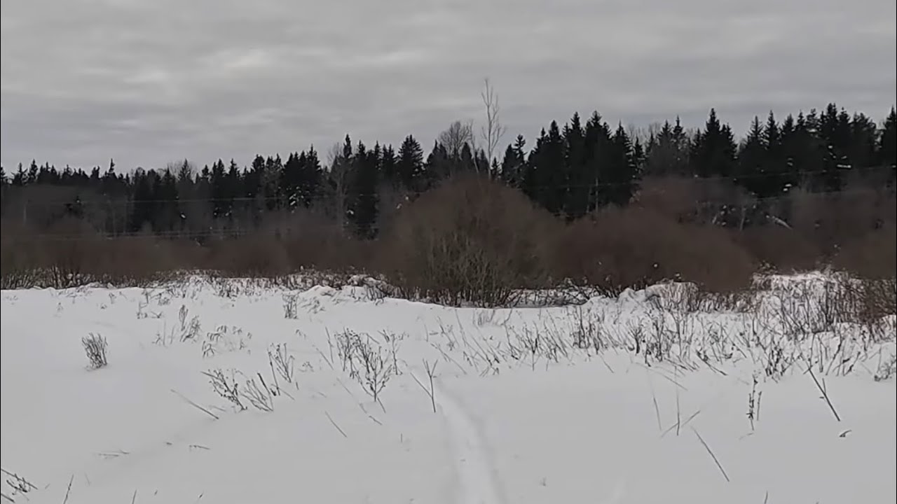 Прогулка из Иваново на озеро Берёзово. Озеро Черетвицы. 355 км. Петрово. Река Еменка. Деревня Песок.