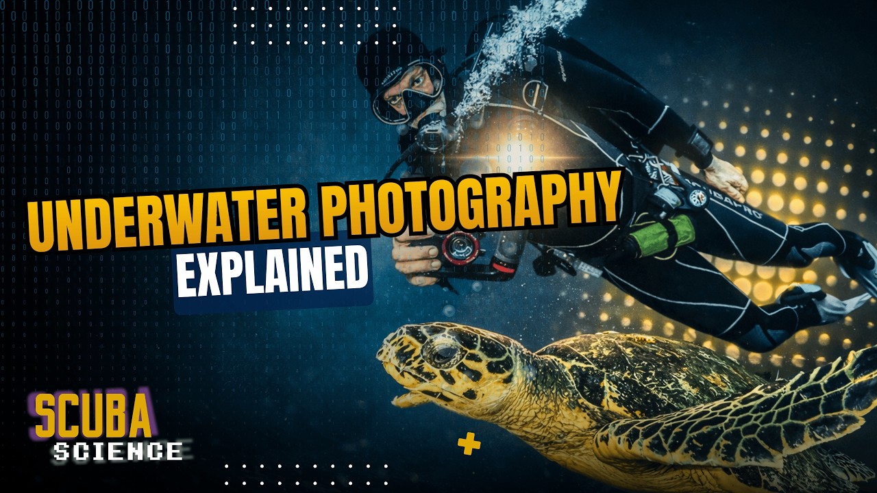 SCUBA SCIENCE 09: The Basics of Underwater Photography | Explained Simply
