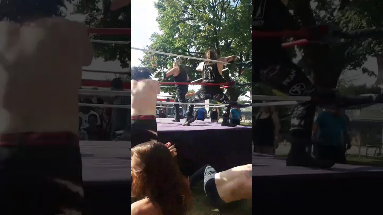 Purge vs Punks