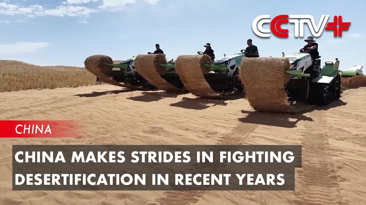 China Makes Strides in Fighting Desertification in Recent Years