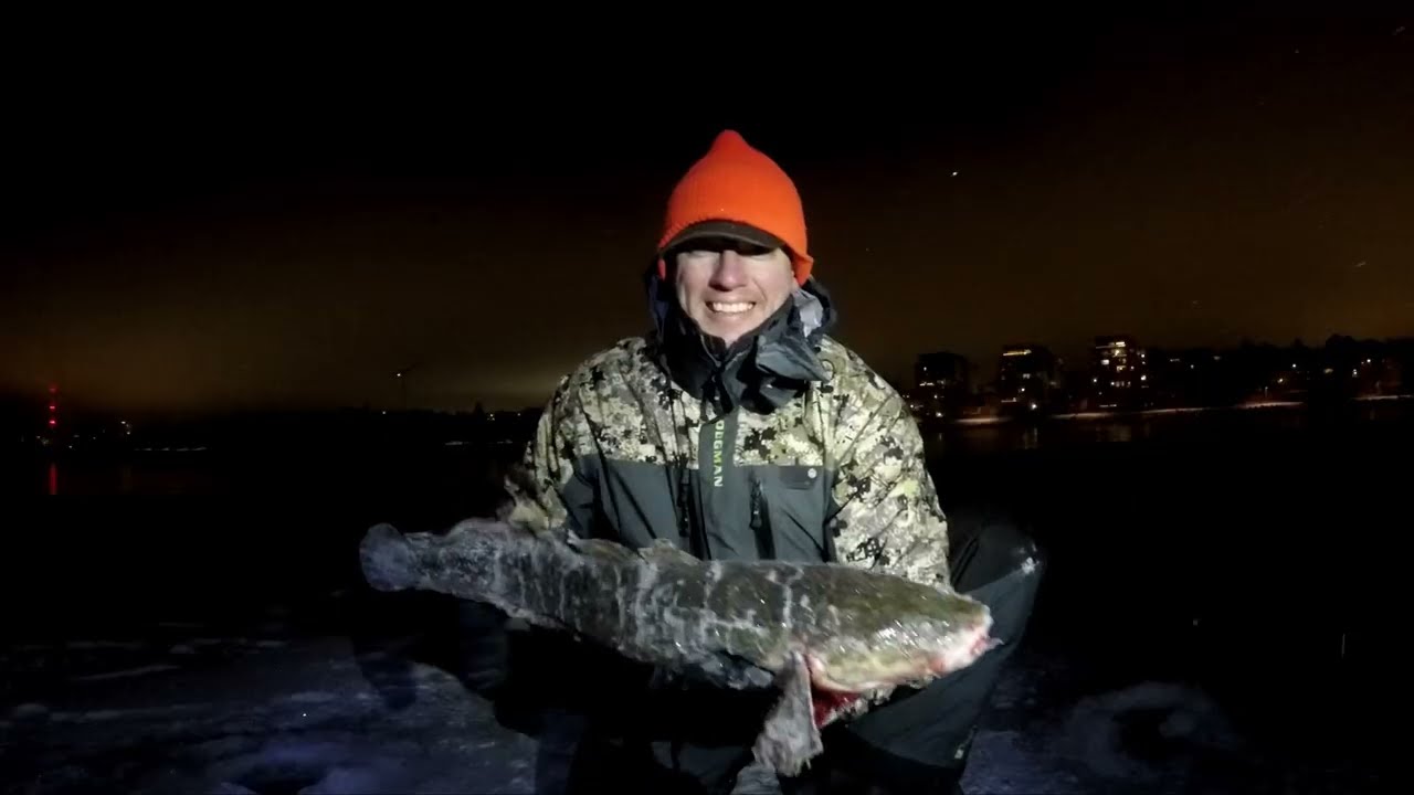 MADEPILKKI VIDEO (4K) - OULUN KALAPAIKKOJEN ACTION PLÄJÄYS