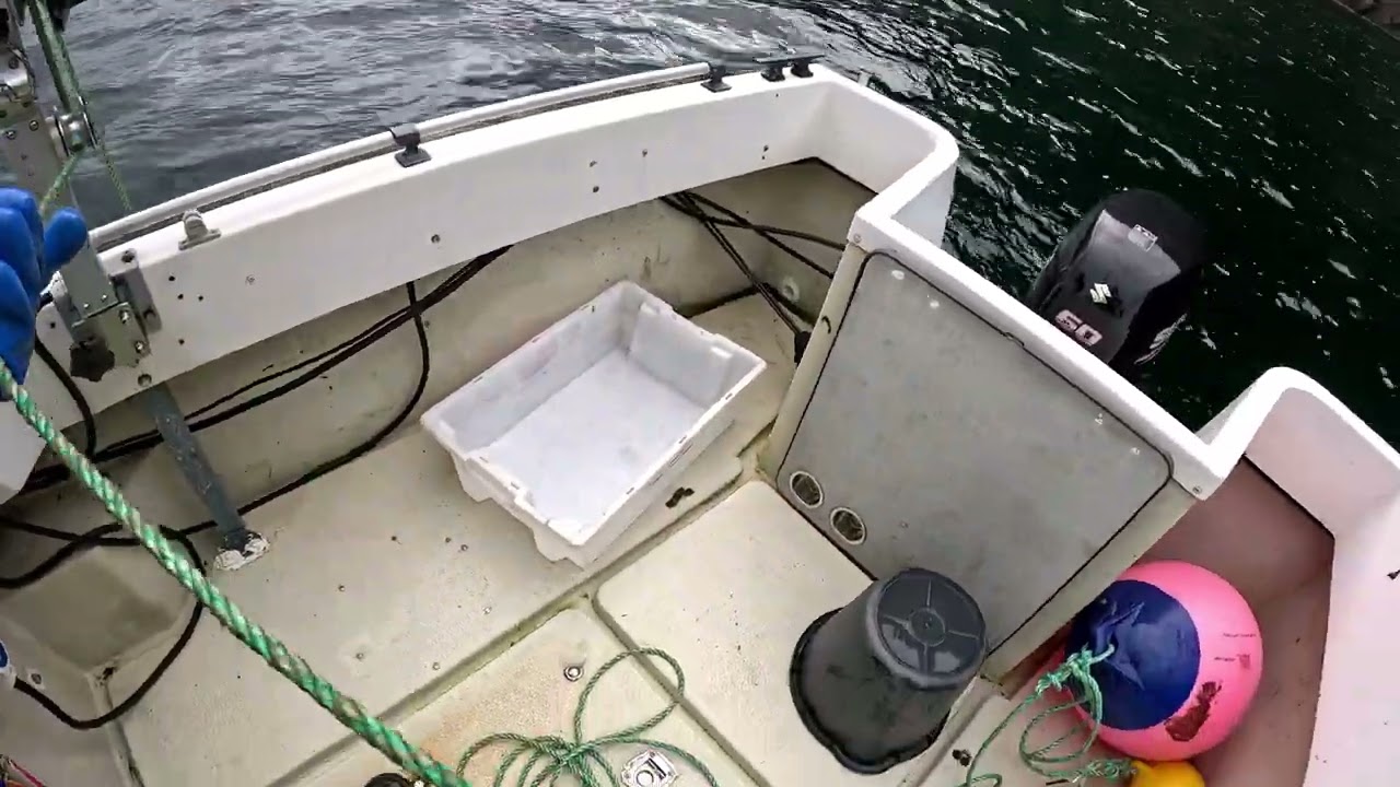 Dra havteine i Åfjorden Hyllestad