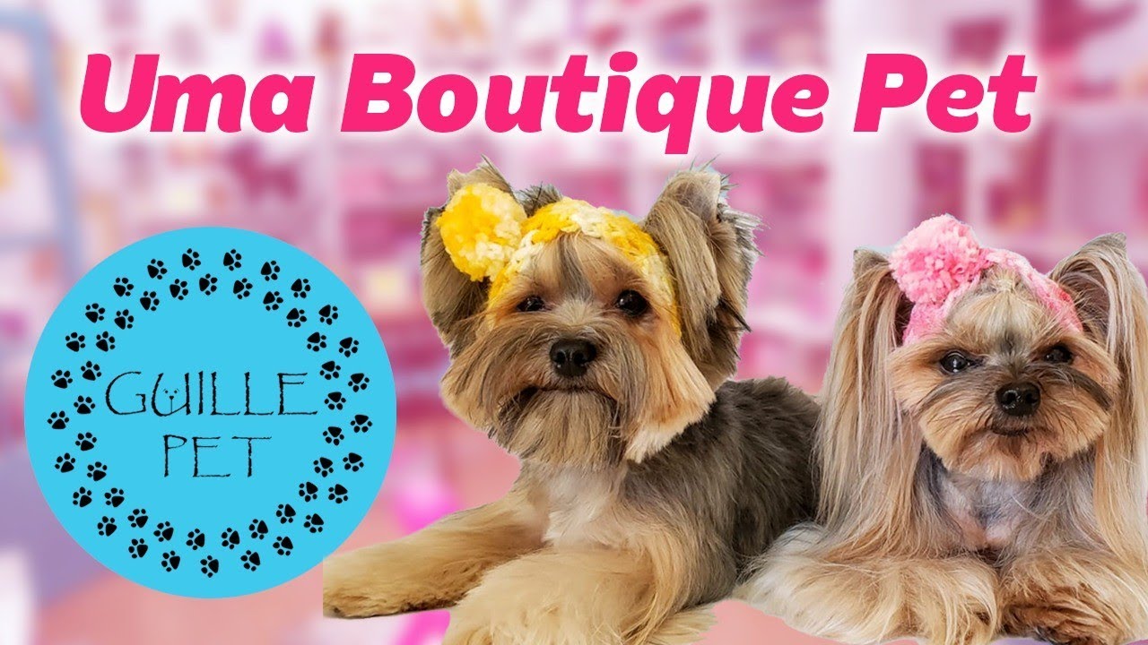 Conhe&ccedil;am uma boutique pet! A Guille Pet em Monte Verde