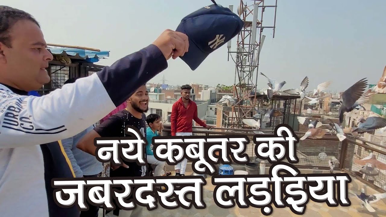 Aj Malli Bhai Ne New Kabutar  Pail Kar Lada Diye 😬😬 Delhi Ki Kabutar Bazi 😢😢 Okhla ki Kabutar Bazi