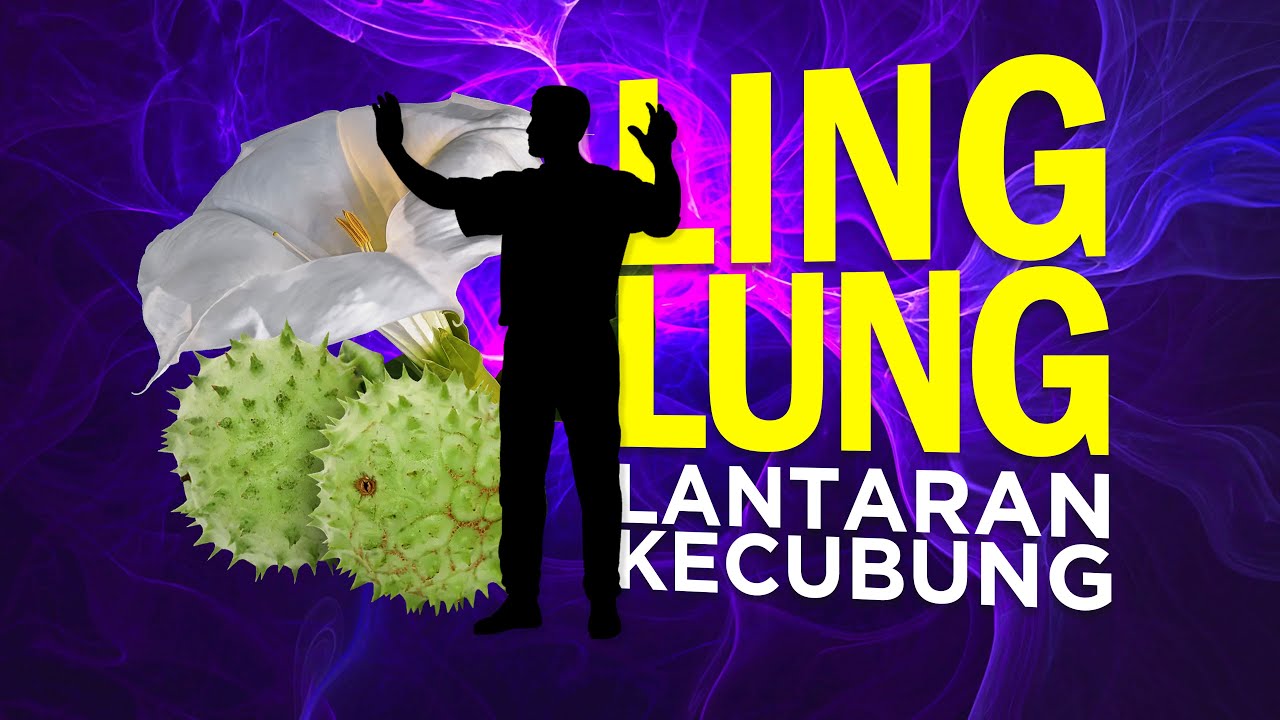Tumbuhan Dengan Zat PALING Mematikan: Datura a.k.a Kecubung #AlamSemenit