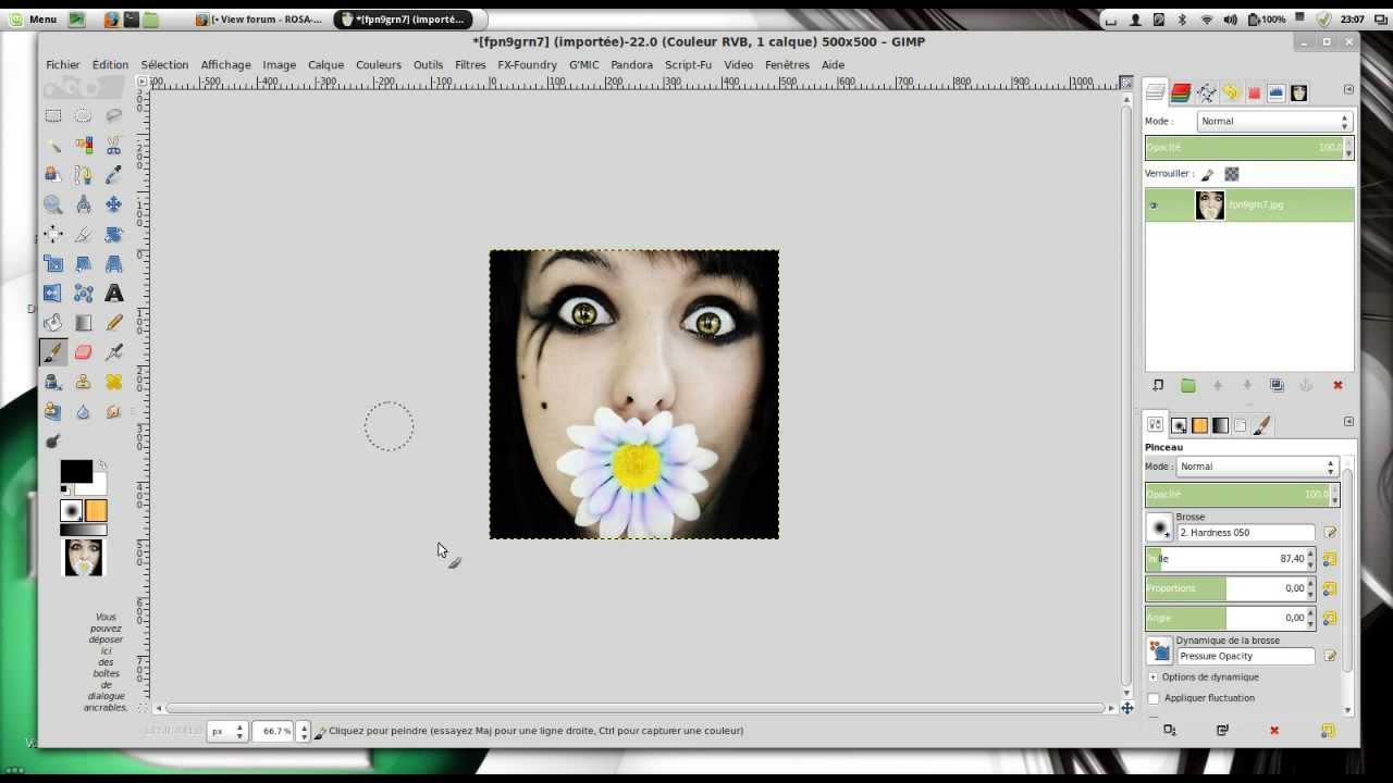 Tuto Gimp 15: La gestion du canevas