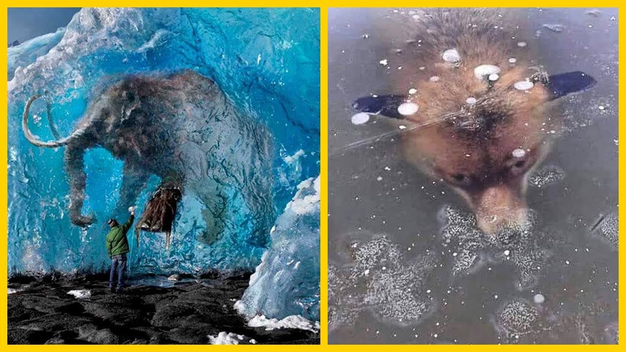 10 Choses &Eacute;tranges Trouv&eacute;es dans la Glace