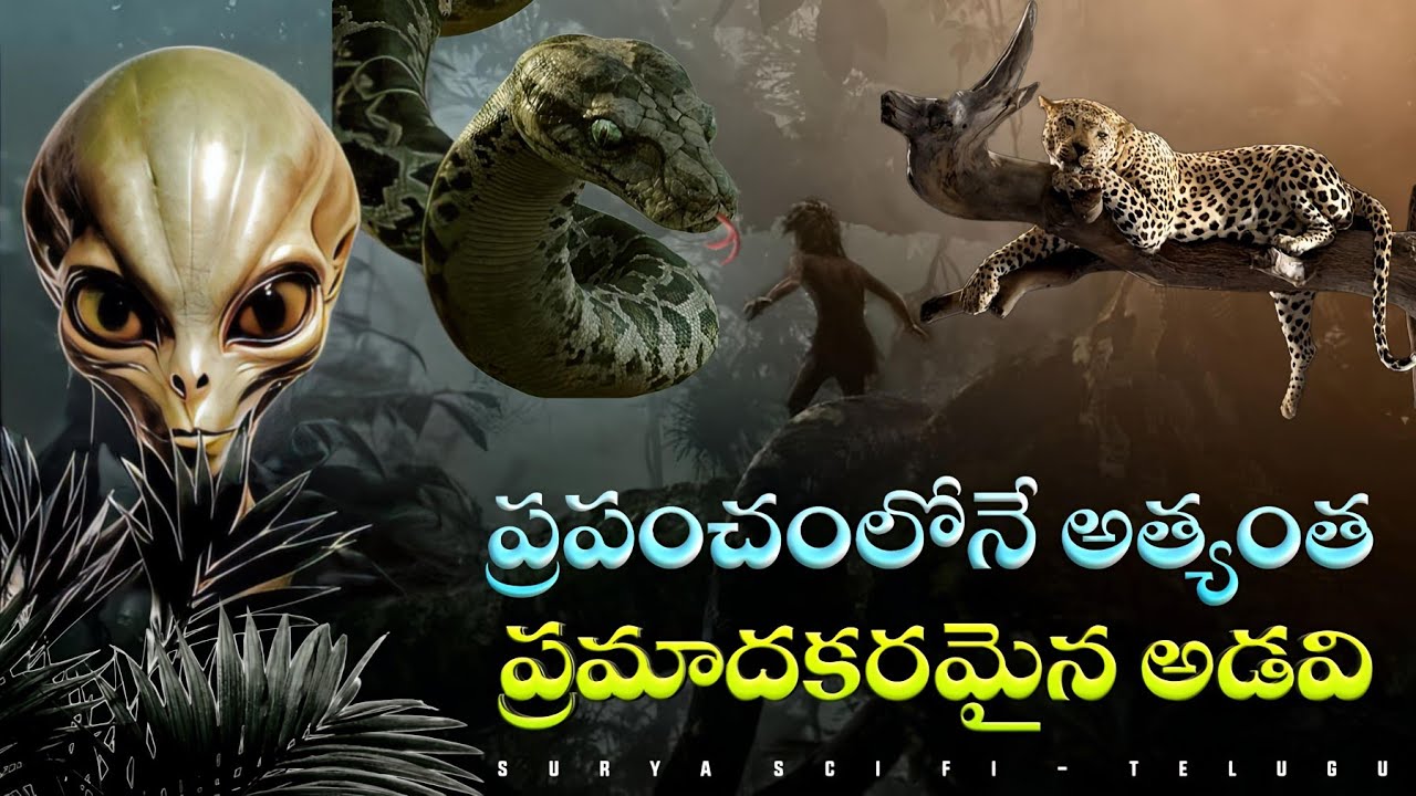 ప్రపంచంలోనే అత్యంత రహ్యమైన అడవి | Facts About Amazon Jungle | Mystery Of Amazon Rainforest In Telugu